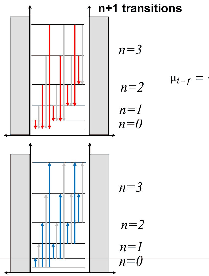 Slide 3: the transitions between the levels of the box