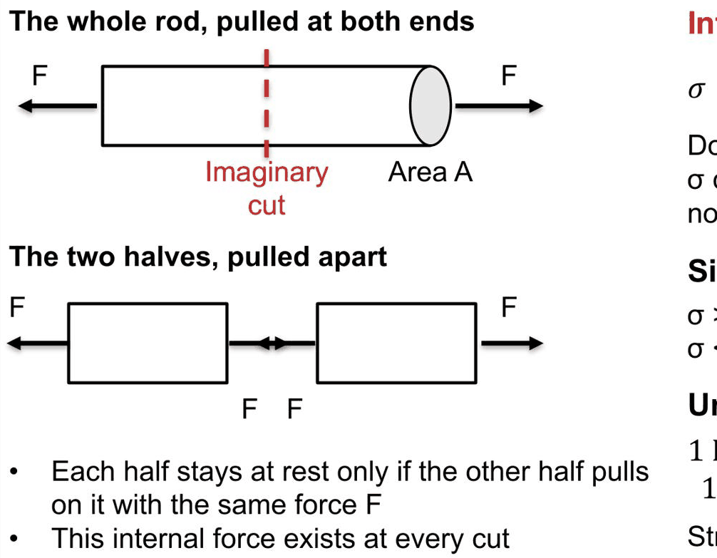 Slide 3: a pulled rod and an imaginary cut